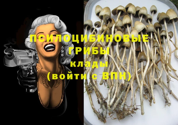 хмурый Видное