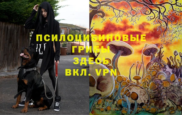 кристаллы Алексеевка