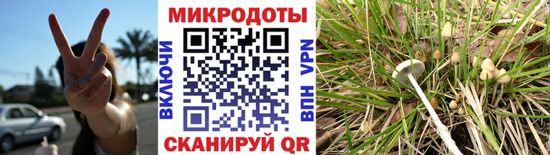 Галлюциногенные грибы мицелий  купить наркотики сайты  kraken зеркало  Дмитров 