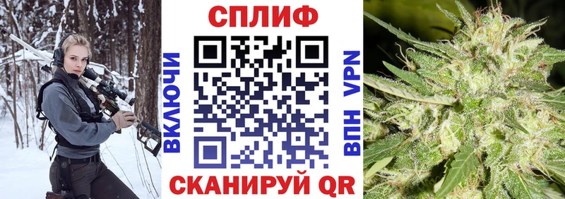 Шишки марихуана планчик Дмитров